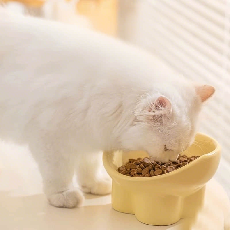 Chaozhou Huabiao Ceramics Manufacturing Factory